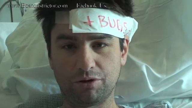 A message From Bugs the Volunteer смотреть онлайн
