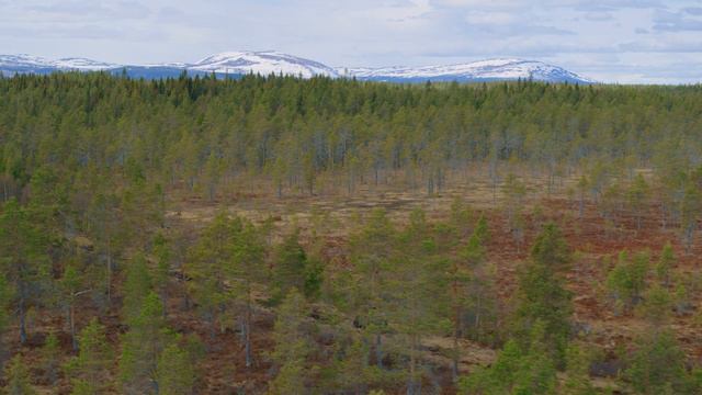 Oktan Träffar - Fjöset ett jordbruk med sikte på framtiden смотреть онлайн