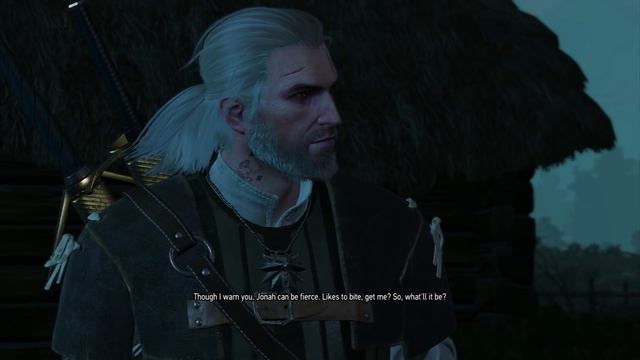 Witch Hunters Return - The Witcher 3 Wild Hunt PC Playthrough Part 52 смотреть онлайн