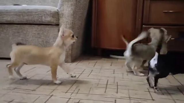 8 мая 2021 г. смотреть онлайн