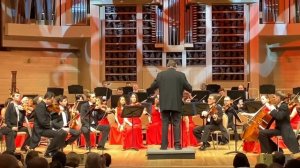 Дога Вальс « Мой ласковый и нежный зверь» оркестр «Русская Филармония»