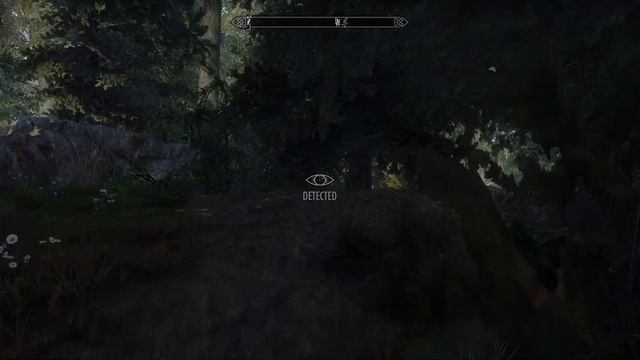 SKYRIM MOD 2018 TEST WILD LIFE смотреть онлайн