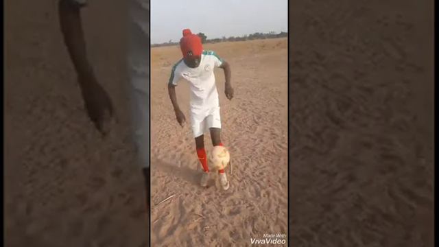 GASSAMA Sy alliance bertran traore en mode gonglage. Aimer le foot villageois je suis villageois смотреть онлайн
