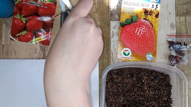 ЛЕГКИЙ СПОСОБ ПОСЕВА ЗЕМЛЯНИКИ и КЛУБНИКИ, без стратификации и снега, все взойдет само за 1 НЕДЕЛЮ смотреть онлайн