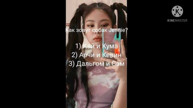 [ТЕСТ] Насколько хорошо ты знаешь Jennie Kim из Blackpink смотреть онлайн