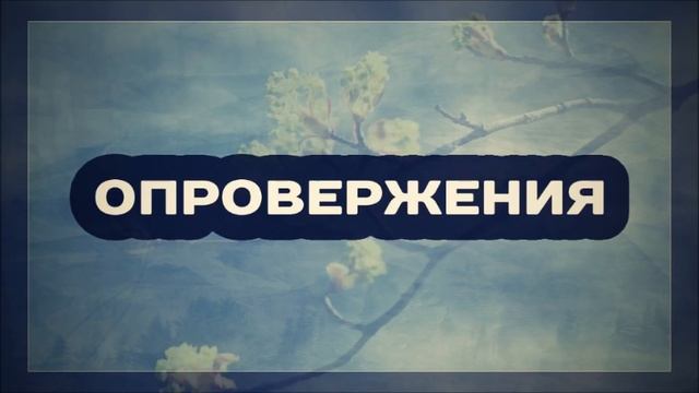 Опровержения    Динар Абу Идрис