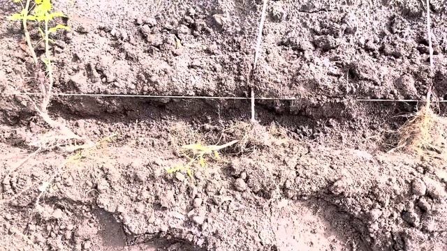 Строительные Палитры