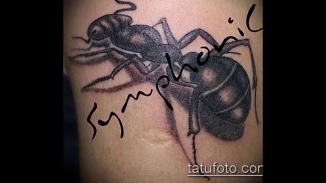 Фото тату муравей для статьи про значение