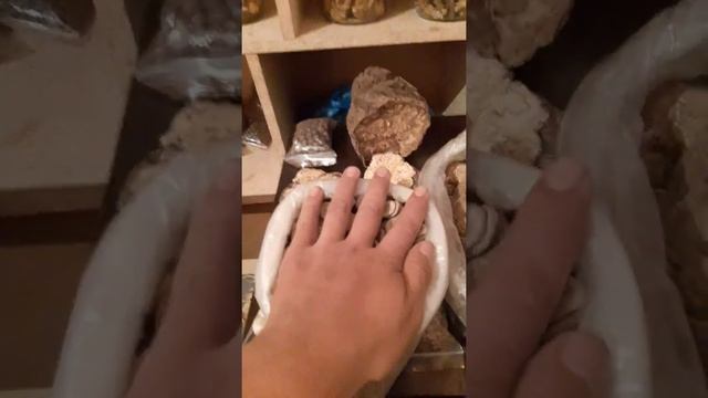 Кучала москвада 0708049346 смотреть онлайн