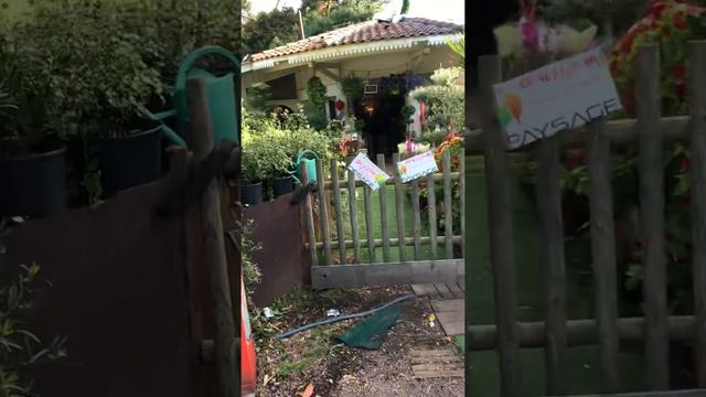 Атлантический океан. Необычный Ситроен возле цветочного смотреть онлайн