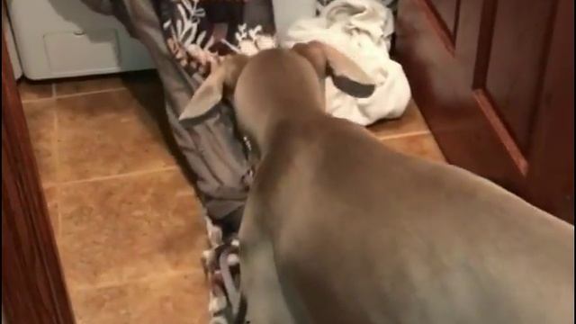 Полезные совет! Достаем белье из стиральной машины смотреть онлайн