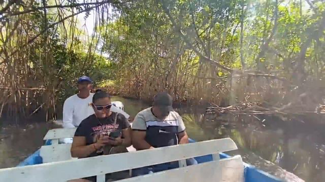 ¿Qué hacer en San Blas, Nayarit? ¿Más bonito que Puerto Vallarta? смотреть онлайн