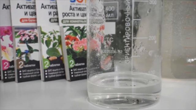 Как активировать рост и цветение комнатных растений? Просто растворить таблетку активатора JOY! смотреть онлайн