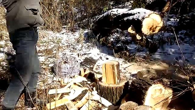 Максим колет дрова топором – колуном Fiskars X25 смотреть онлайн