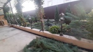 ?КАК ИЗ МОЖЖЕВЕЛЬНИКА СДЕЛАТЬ ЗА 2 ЧАСА КРАСИВЫЙ НЕВАКИ! ТОПИАРНАЯ СТРИЖКА ХВОЙНЫХ РАСТЕНИЙ!?