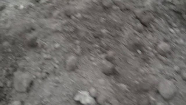 ЭТИ НАХОДКИ ОТКРЫЛИ ТАЙНУ ЗЕМЛИ СИБИРСКОЙ. Раскопки с металлоискателем. Поиск монет девушки с МД. смотреть онлайн