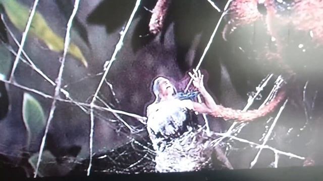 The Fly Help Me смотреть онлайн