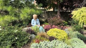 Мой любимый миксбордер/об ошибках /обзор растений