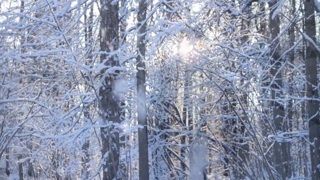 Ой ты русь, сторона моя матушка (стихи Олега Арутюнова) смотреть онлайн