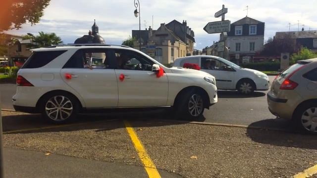 Наше путешествие по Европе . Нидерланды, Франция , Долина Луар, Чехия. смотреть онлайн