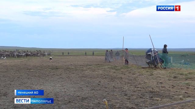 Назар Талеев - заслуженный работник сельского хозяйства РФ смотреть онлайн