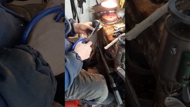 Шпорники для петухов смотреть онлайн