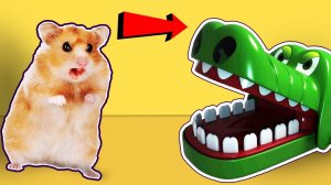 ?Смотрите как мой хомячок ? Проходит лабиринт со ?Змеями и Драконами?