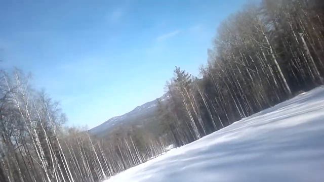 Завьялиха - Чароит