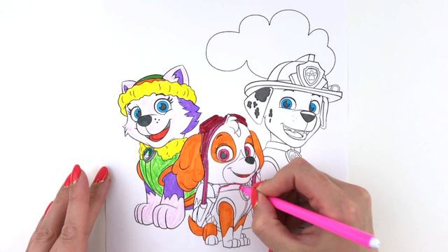 Раскраска Щенячий патруль Маршал, Скай, Эверест Coloring paw patrol Marshall, Skye, Everest смотреть онлайн