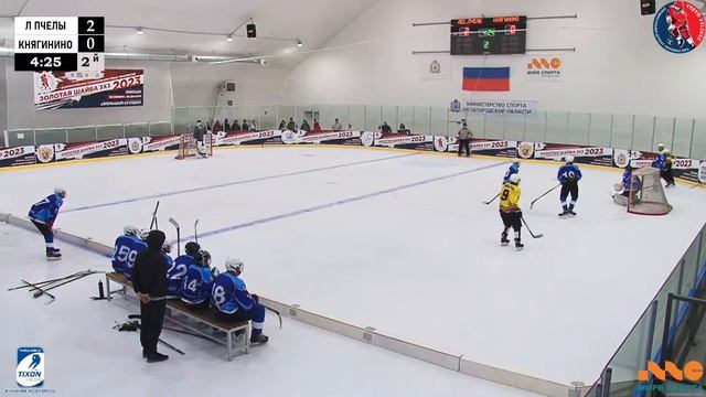 ЗШ (1) 06-07 г.р. | Княгинино - Лесные пчелы | 09 Октября 2023 г. 12:10 | смотреть онлайн