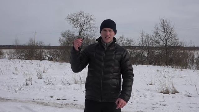 Что я использую для записи видео и звука. смотреть онлайн