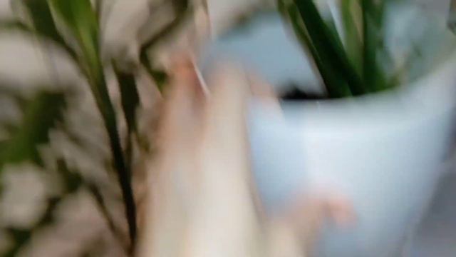 комнатные цветы в детской -подростка... минимальное количество. смотреть онлайн