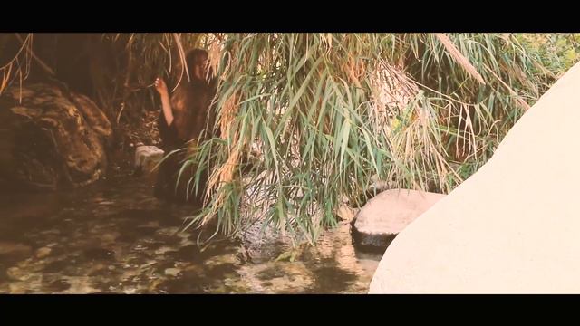 Prince Of Egypt Violin Medley - Ariella Zeitlin & Kong