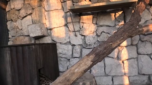 Новенькие Яся и Куш! Умная Глаша и Сеня за женой))) New Yasya, Kush! Clever Glasha, Senya Is Hiding