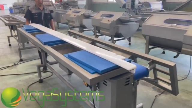 Инспекционный стол для салатной линии Leaddenmar Inspection Table 6WP смотреть онлайн