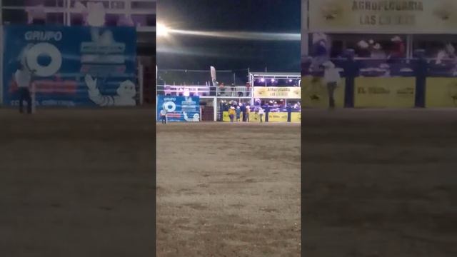 Ganaderia Hard West Toro 4Vientos VS Gamalie Salasar . смотреть онлайн