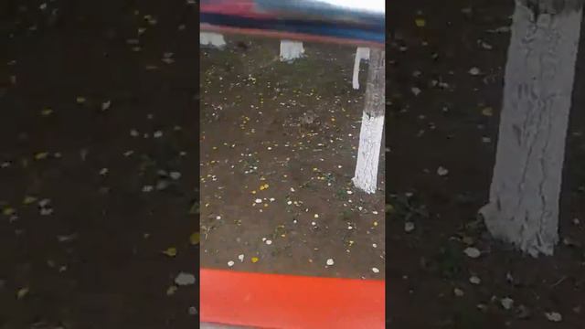 Караганда парк. смотреть онлайн