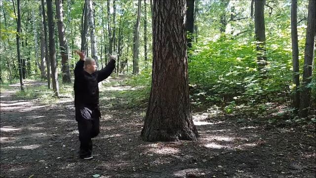 Комплекс цигун 8 ладоней Багуачжан  I