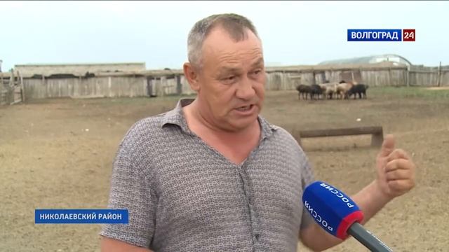 Семейные животноводческие фермы смотреть онлайн