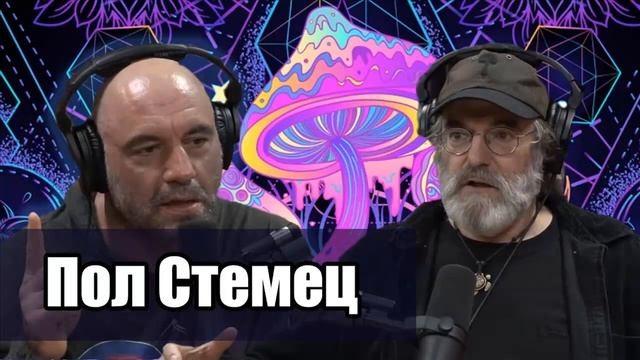 Джо Роган подкаст с Полом Стеметсом. Второй визит (Часть 9/10) смотреть онлайн
