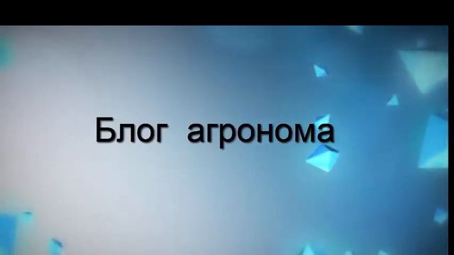 Заставка каналу смотреть онлайн