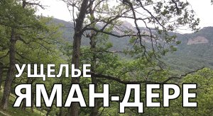 Ущелье Яман-Дере. Крым.
