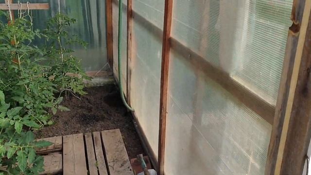 Огород,огород,будет овощей хоровод!!!