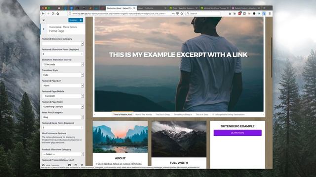 WordPress Natural Theme Walk-through смотреть онлайн