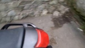 yamaha fz6s fazer 2006