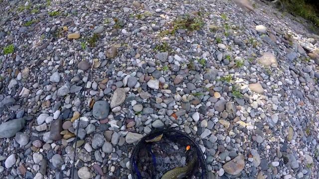 ULTRALIGHT SPINNING TROTE FIUME SERIO - РЫБАЛКА СПИННИНГ ФОРЕЛЬ В ИТАЛЬЯНСКИХ ГОРАХ смотреть онлайн