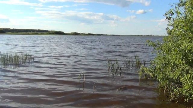 Vatravel.ru  Костромское водохранилище у п.Прибрежный (Костромская обл)