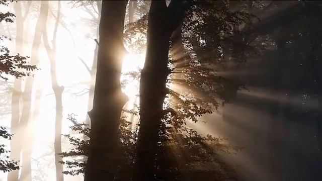 Тихий вечер Гитара слушать смотреть онлайн