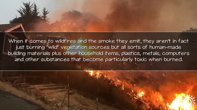 Top 9 Superfoods For Wildfire Smoke Pollution