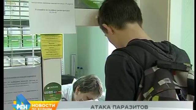 От укусов клещей в Иркутской области пострадал уже 151 человек смотреть онлайн